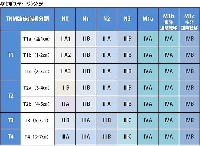 症例 肺がんについて 症状 病期分類 治療 医療法人社団公仁会 槇殿順記念病院 まきどのじゅんきねんびょういん