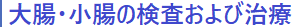 咰Ěю