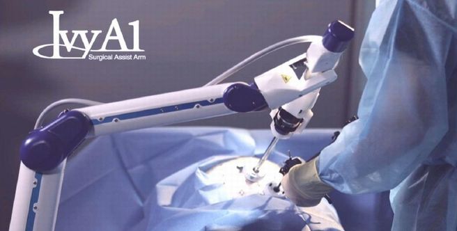 �O�Ȏ�p�p�������z���_���{�b�g(IvyA1)